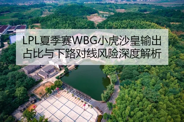 LPL夏季赛WBG小虎沙皇输出占比与下路对线风险深度解析