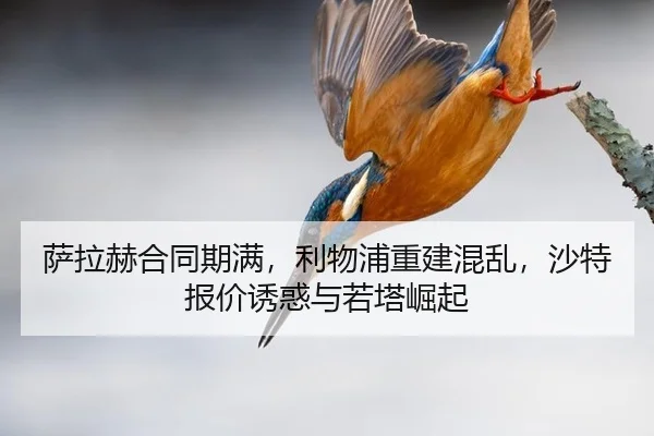 sa-la-he-he-tong-qi-man-li-wu-pu-chong-jian-hun-luan-sha-te-bao-jia-you-huo-yu-ruo-ta-jue-qi-3-204.jpg